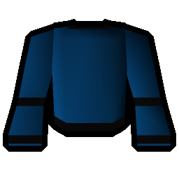 Wizard robe (t)