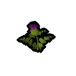 Mid-level plants