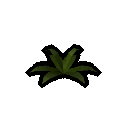 Small fern