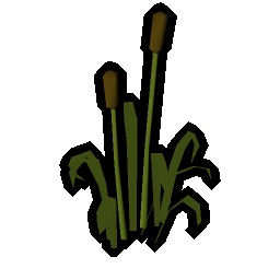 Reeds