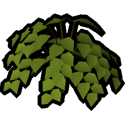 Bush
