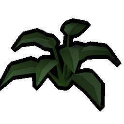 Large-leaf plant