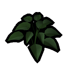 Huge plant