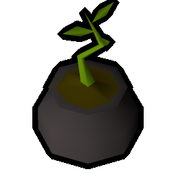 Bagged plant 1