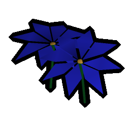 Blue flowers