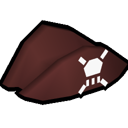 Pirate hat