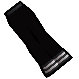 Black navy slacks