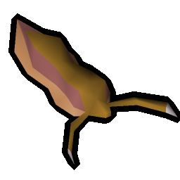 Dead sea slug