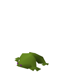 Swamp toad