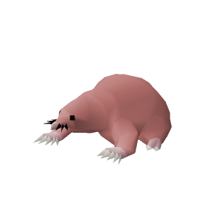Baby Mole-rat