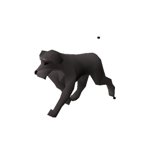 Stray dog