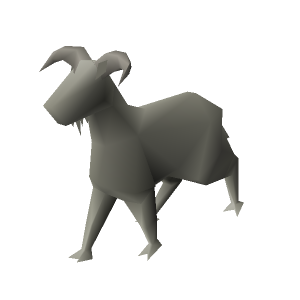 Mountain Goat