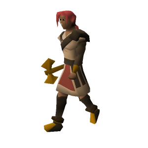 Arena Guard Nikkolas