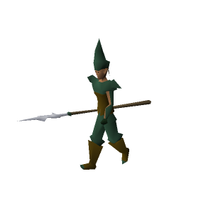 Elven city guard