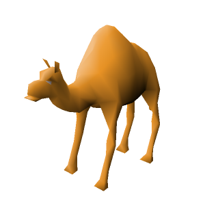 Jasim the Camel