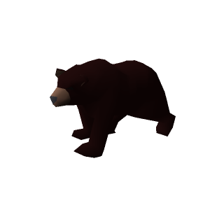 Grizzly bear cub