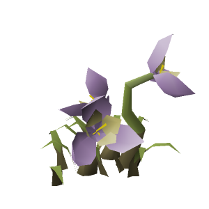 Flowering bush (Lilac)