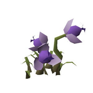 Strange bush (Lilac)