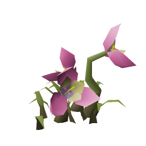 Flowering bush (Pink)