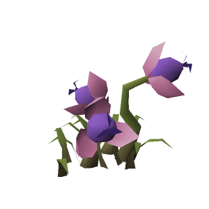 Strange bush (Pink)