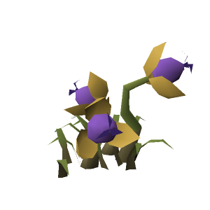 Strange bush (Orange)