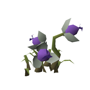 Strange bush (White)