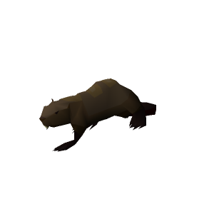 Beaver