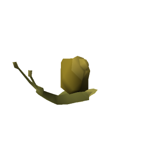 Ochre Blamish Snail