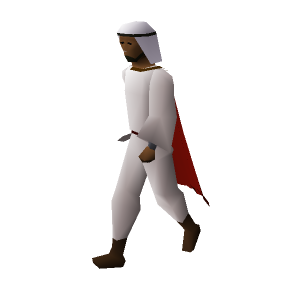 Mysterious Bandit