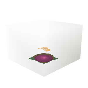 Catalyst