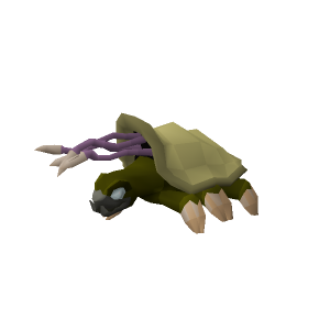 Warped Tortoise