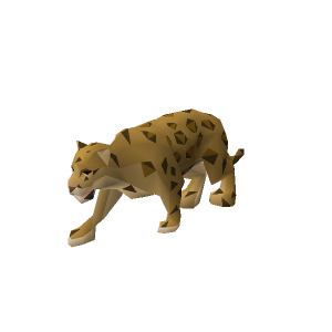 Jaguar cub
