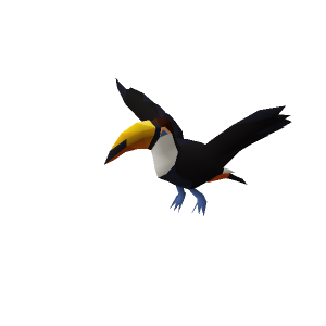 Toucan