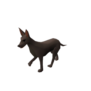 Xolo
