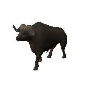 Buffalo
