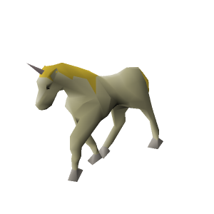 Unicorn Foal