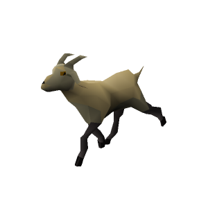 Goat