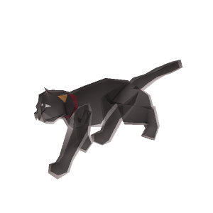 Ghost Cat