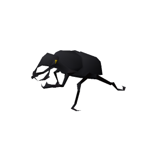 Small scarab