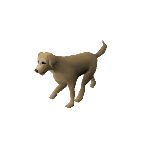 Gus