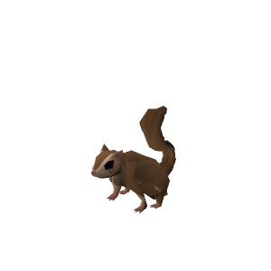 Flying squirrel