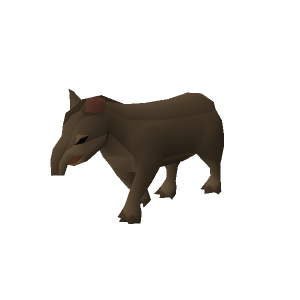 Tapir