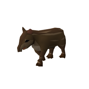 Tapir calf