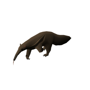 Anteater