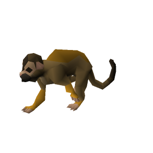 Squirrel monkey