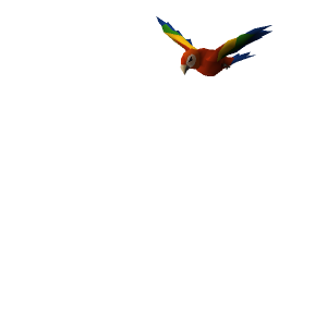 Macaw