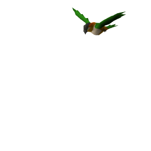 Caique