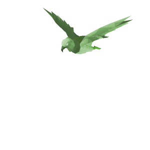 Eagle spirit