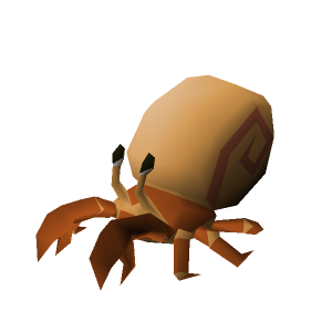 Hermit crab