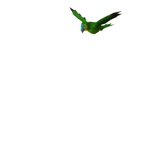 Polly